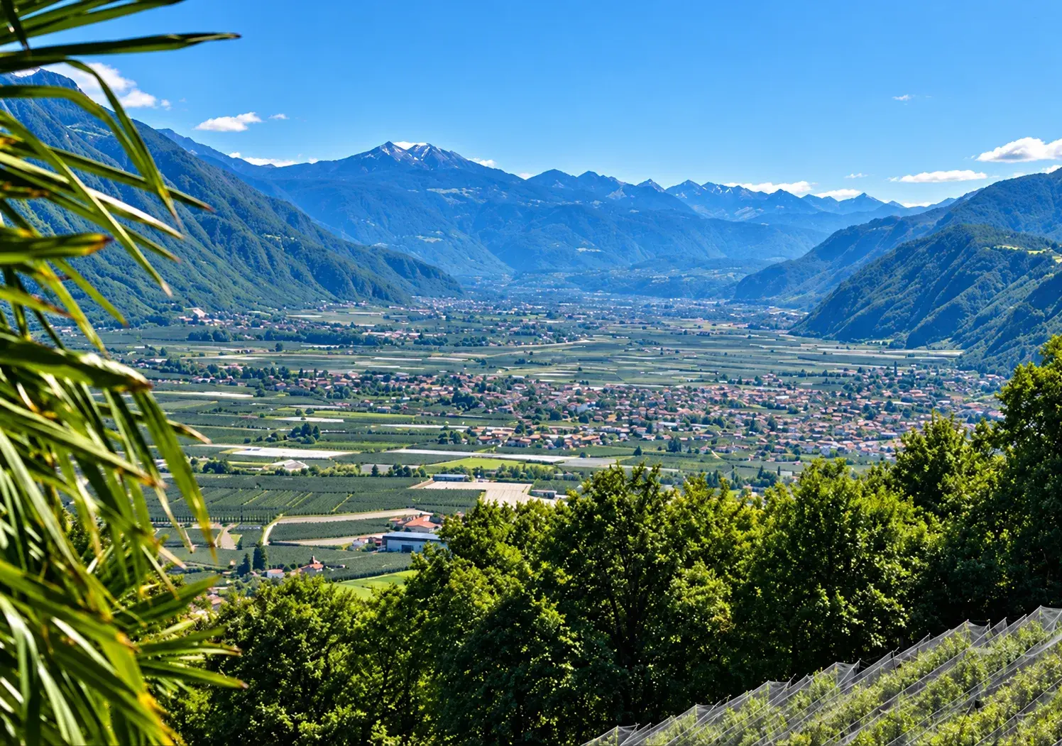 Südtirol in Bewegung erleben